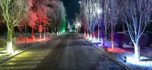 Фотография Куратор 2
