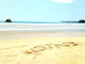 Фотография Vista59 0