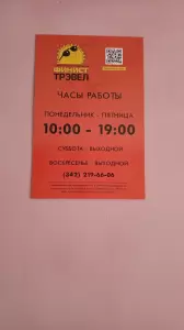 Фотография Финист Трэвел 4